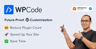 WPCode Pro 1